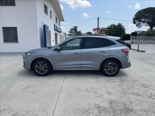 FORD Kuga 1.5 ecoblue ST-Line 2wd 120cv auto