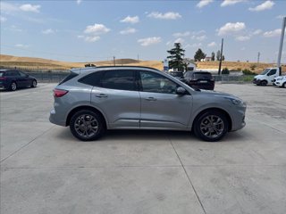 FORD Kuga 1.5 ecoblue ST-Line 2wd 120cv auto