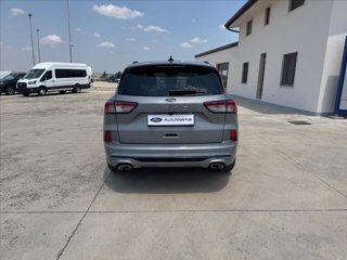 FORD Kuga 1.5 ecoblue ST-Line 2wd 120cv auto