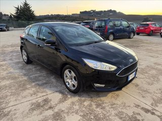 FORD Focus 1.5 ecoblue Plus 95cv