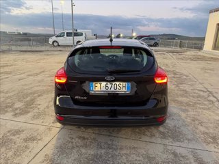 FORD Focus 1.5 ecoblue Plus 95cv
