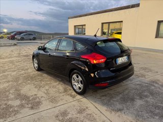 FORD Focus 1.5 ecoblue Plus 95cv