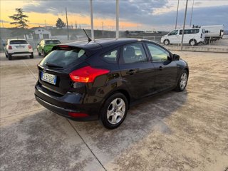 FORD Focus 1.5 ecoblue Plus 95cv