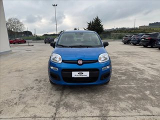 FIAT Pandina 1.0 firefly hybrid Pop s&s 70cv