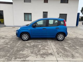 FIAT Pandina 1.0 firefly hybrid Pop s&s 70cv